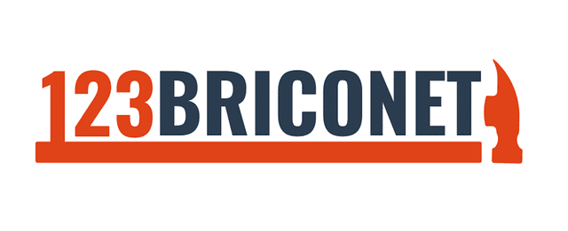 123Briconet Logo